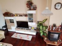 Televízia a/alebo spoločenská miestnosť v ubytovaní Apartman Maksimir Lux Zagreb-145m2
