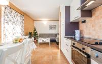 Kuchyňa alebo kuchynka v ubytovaní Apartment Vila Lokve
