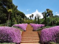 The floor plan of Your Paradise at Costa Brava