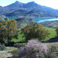 a view of a field with trees and a lake at Las 4 Lunas in Zahara de la Sierra