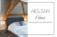 Gallery image of HISSLA ALSACE CHIC&amp; COSY BARR Wine Route in Barr