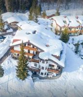Obiekt Haus Elisengrund am Geigenbuehel - chalet privé zimą