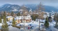 Obiekt Haus Elisengrund am Geigenbuehel - chalet privé zimą