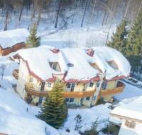 Obiekt Haus Elisengrund am Geigenbuehel - chalet privé zimą