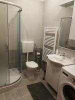 a bathroom with a toilet and a sink and a shower at Apartman Fachin in Motovun