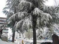 STUDIO SUEÑO NEVADO DELUXE ECOMOMIC v zimě