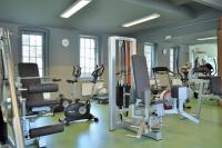 Fitness centrum a/nebo fitness zařízení v ubytování Apartmán Krásná Lípa č. 1