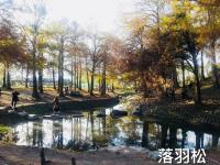 Gallery image of Park 61 in Luodong