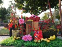 a display of flowers and plants in a garden at Taichung Xinshe Garden Life Homestay B&amp;B in Xinshe