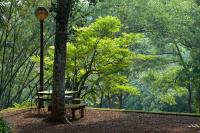 Lunuganga Estateにある庭