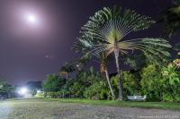 Roça São João dos Angolaresの見取り図または間取り図
