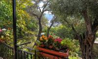 A garden outside Pieros Studios Alipa