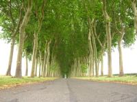 Luxurious Holiday Home In Ocquerre Ocquerre Updated 21 Prices