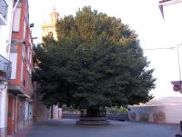 Plano de Apartamentos Rurales San Juan