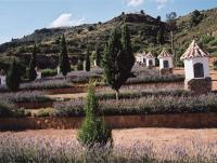 Paisaje cerca of this country house