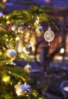 Un árbol de Navidad con adornos de Navidad en él en Le Clair de la Plume - Teritoria, en Grignan