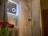 a bathroom with a shower with a window and red tulips at Pension Karina Schwerin in Schwerin