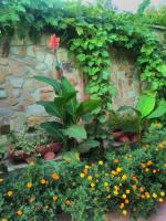 A garden outside Gelov Hotel