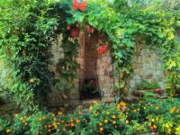A garden outside Gelov Hotel