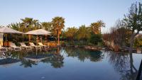 a swimming pool with chairs and umbrellas and palm trees at Hotel Rural Xereca in Puig D’en Valls