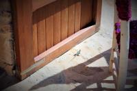 Půdorys ubytování Siamoformentera Bella