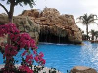 ein Wasserfall in einem Pool in einem Resort mit rosa Blumen in der Unterkunft Dan Eilat Hotel in Eilat
