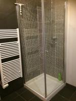 a shower with a glass door in a bathroom at Chambre d&#39;Hôtes du Vieux Collonges in Collonges-au-Mont-dʼOr