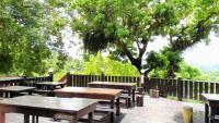 a group of picnic tables with a tree in the background at JS Hotspring in Ruisui