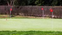 Golf v hotelu nebo okolí