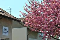 Půdorys ubytování Apartmány za sakurou