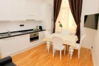 Kuchyň nebo kuchyňský kout v ubytování Luxury apartments Krocínova