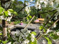 a bench in a garden with white flowers at Villa Eltins in Bad Bentheim