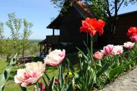 Vonkajšia záhrada v ubytovaní Holiday home Podgaj