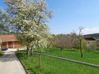 Zahrada ubytování Apartments Himmelreich