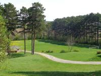 Golf v apartmánu nebo okolí