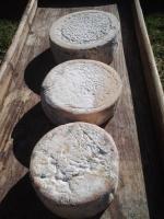 drei Steine liegen auf einem Holztisch in der Unterkunft Las Lucías, experiencias de ecoturismo in Navatrasierra