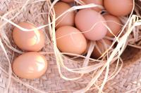 Ein Haufen brauner Eier in einem Korb. in der Unterkunft Casa Rural Mas Garganta in La Pinya