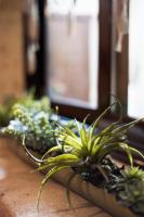 A garden outside La Casa de la Vieja - Rustic & Charming Appartments