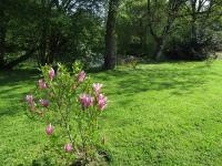 A garden outside Fermette dans les pays de la Loire