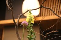 Imagine din galeria proprietății Hotel de Saxe Leipzig în Leipzig