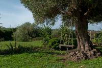 Zahrada ubytování Casa Rural La Zarzamora