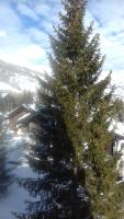 Ca del nono during the winter