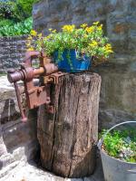 Vonkajšia záhrada v ubytovaní al Merlo Olivo, rural istrian house