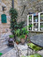 Vonkajšia záhrada v ubytovaní al Merlo Olivo, rural istrian house