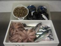 Imagine din galeria proprietății Albergo ristorante Elena în Lido delle Nazioni