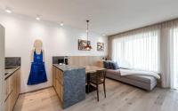 Kuchyňa alebo kuchynka v ubytovaní Vinea - Apartments