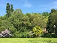 a house in the middle of a field with trees at B&amp;B Au bois dormant chambres d hotes in Tillé