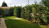 A garden outside Eva Studios