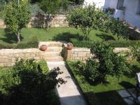 A garden outside Cactus