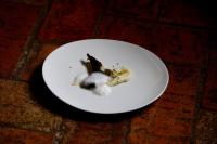 een wit bord met een stukje eten erop bij Hotel Molí de l'Escala in L'Escala